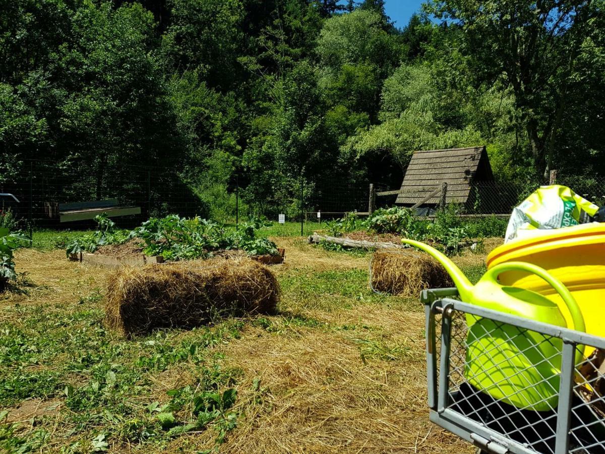 Vvf Sud Aveyron Hotel Brusque ภายนอก รูปภาพ
